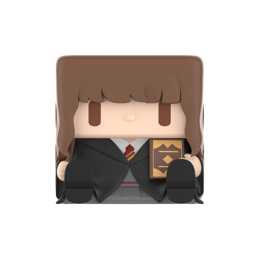 Harry Potter – POP CUBE 3 Series | Figurine Blind Box POP MART
