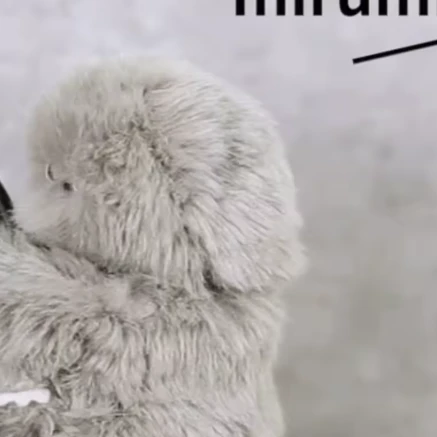 Mirumi Robot Animal Compagnon Intelligent